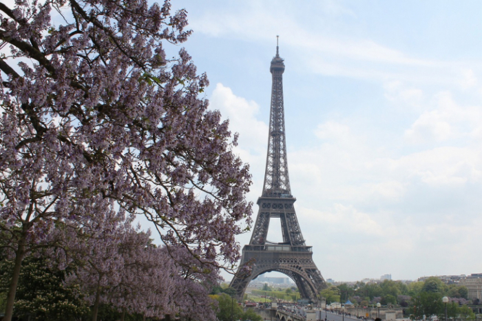 ＊満員御礼＊第14回テーマ「フランス地方と食を愉しむⅠ」en Zoom Ils de France イル・ド・フランス　Paris パリ